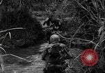 Image of Vietcong captured by Marines Vietnam, 1967, second 30 stock footage video 65675073301
