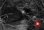 Image of Vietcong captured by Marines Vietnam, 1967, second 32 stock footage video 65675073301