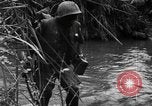 Image of Vietcong captured by Marines Vietnam, 1967, second 33 stock footage video 65675073301