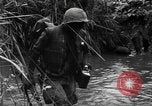 Image of Vietcong captured by Marines Vietnam, 1967, second 34 stock footage video 65675073301