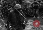 Image of Vietcong captured by Marines Vietnam, 1967, second 35 stock footage video 65675073301