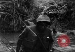 Image of Vietcong captured by Marines Vietnam, 1967, second 36 stock footage video 65675073301