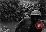 Image of Vietcong captured by Marines Vietnam, 1967, second 37 stock footage video 65675073301