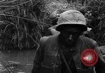 Image of Vietcong captured by Marines Vietnam, 1967, second 38 stock footage video 65675073301