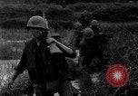 Image of Vietcong captured by Marines Vietnam, 1967, second 39 stock footage video 65675073301