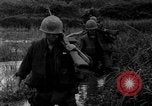 Image of Vietcong captured by Marines Vietnam, 1967, second 40 stock footage video 65675073301
