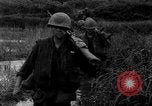 Image of Vietcong captured by Marines Vietnam, 1967, second 41 stock footage video 65675073301