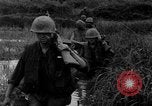 Image of Vietcong captured by Marines Vietnam, 1967, second 42 stock footage video 65675073301
