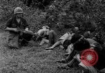 Image of Vietcong captured by Marines Vietnam, 1967, second 43 stock footage video 65675073301