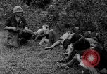 Image of Vietcong captured by Marines Vietnam, 1967, second 44 stock footage video 65675073301