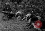 Image of Vietcong captured by Marines Vietnam, 1967, second 46 stock footage video 65675073301