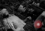 Image of Vietcong captured by Marines Vietnam, 1967, second 48 stock footage video 65675073301
