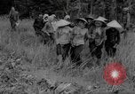 Image of Vietcong captured by Marines Vietnam, 1967, second 50 stock footage video 65675073301