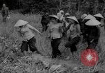 Image of Vietcong captured by Marines Vietnam, 1967, second 53 stock footage video 65675073301