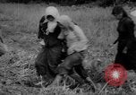 Image of Vietcong captured by Marines Vietnam, 1967, second 55 stock footage video 65675073301