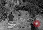 Image l'aide médicale Cornwall en Angleterre, 1967, de la seconde 7 séquences d'archives historiques vidéo 65675073304