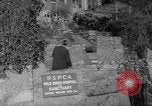 Image l'aide médicale Cornwall en Angleterre, 1967, de la seconde 8 séquences d'archives historiques vidéo 65675073304