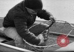 Image la pêche New Hampshire United States USA, 1967, de la seconde 23 séquences d'archives historiques vidéo 65675073309