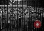 Image des fêtes de la victoire United States USA, 1945, de la seconde 7 séquences d'archives historiques vidéo 65675073311