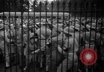 Image des fêtes de la victoire United States USA, 1945, de la seconde 8 séquences d'archives historiques vidéo 65675073311
