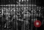 Image des fêtes de la victoire United States USA, 1945, de la seconde 9 séquences d'archives historiques vidéo 65675073311
