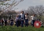 Immagine di La Giornata della Terra Washington DC USA, 1970, secondo 52 filmato di repertorio 65675073314