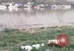 Image Rivière Anacostia Washington DC USA, 1970, de la seconde 1 séquences d'archives historiques vidéo 65675073320