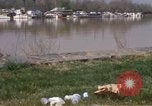 Image Rivière Anacostia Washington DC USA, 1970, de la seconde 9 séquences d'archives historiques vidéo 65675073320