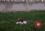 Image Rivière Anacostia Washington DC USA, 1970, de la seconde 33 séquences d'archives historiques vidéo 65675073320