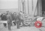 Immagine di Massacro Gardelegen sepoltura di massa Gardelegen Germania, 1945, secondo 24 filmato di repertorio 65675073348