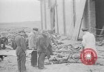 Immagine di Massacro Gardelegen sepoltura di massa Gardelegen Germania, 1945, secondo 27 filmato di repertorio 65675073348