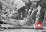 Immagine di Massacro Gardelegen sepoltura di massa Gardelegen Germania, 1945, secondo 31 filmato di repertorio 65675073348
