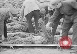 Immagine di Massacro Gardelegen sepoltura di massa Gardelegen Germania, 1945, secondo 32 filmato di repertorio 65675073348