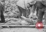 Immagine di Massacro Gardelegen sepoltura di massa Gardelegen Germania, 1945, secondo 33 filmato di repertorio 65675073348