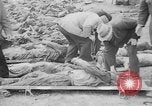 Immagine di Massacro Gardelegen sepoltura di massa Gardelegen Germania, 1945, secondo 34 filmato di repertorio 65675073348