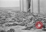Immagine di Massacro Gardelegen sepoltura di massa Gardelegen Germania, 1945, secondo 36 filmato di repertorio 65675073348