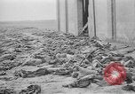 Immagine di Massacro Gardelegen sepoltura di massa Gardelegen Germania, 1945, secondo 37 filmato di repertorio 65675073348