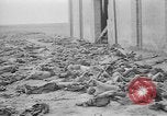 Immagine di Massacro Gardelegen sepoltura di massa Gardelegen Germania, 1945, secondo 38 filmato di repertorio 65675073348