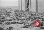 Immagine di Massacro Gardelegen sepoltura di massa Gardelegen Germania, 1945, secondo 39 filmato di repertorio 65675073348