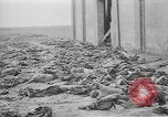 Immagine di Massacro Gardelegen sepoltura di massa Gardelegen Germania, 1945, secondo 41 filmato di repertorio 65675073348