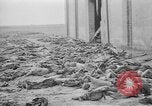 Immagine di Massacro Gardelegen sepoltura di massa Gardelegen Germania, 1945, secondo 42 filmato di repertorio 65675073348