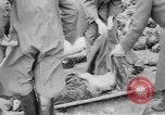 Immagine di Massacro Gardelegen sepoltura di massa Gardelegen Germania, 1945, secondo 61 filmato di repertorio 65675073348