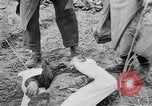 Standbild Masse Vergraben von Gardelegen Massaker Opfer Gardelegen Deutschland, 1945, aus Sekunde 3 historischem Filmmaterial Videoclip 65675073349