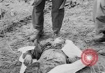 Standbild Masse Vergraben von Gardelegen Massaker Opfer Gardelegen Deutschland, 1945, aus Sekunde 4 historischem Filmmaterial Videoclip 65675073349