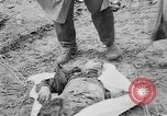 Standbild Masse Vergraben von Gardelegen Massaker Opfer Gardelegen Deutschland, 1945, aus Sekunde 5 historischem Filmmaterial Videoclip 65675073349