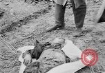 Standbild Masse Vergraben von Gardelegen Massaker Opfer Gardelegen Deutschland, 1945, aus Sekunde 6 historischem Filmmaterial Videoclip 65675073349
