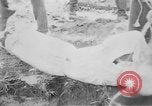 Standbild Masse Vergraben von Gardelegen Massaker Opfer Gardelegen Deutschland, 1945, aus Sekunde 11 historischem Filmmaterial Videoclip 65675073349