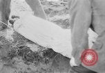 Standbild Masse Vergraben von Gardelegen Massaker Opfer Gardelegen Deutschland, 1945, aus Sekunde 12 historischem Filmmaterial Videoclip 65675073349