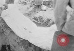 Standbild Masse Vergraben von Gardelegen Massaker Opfer Gardelegen Deutschland, 1945, aus Sekunde 13 historischem Filmmaterial Videoclip 65675073349
