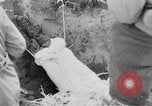 Standbild Masse Vergraben von Gardelegen Massaker Opfer Gardelegen Deutschland, 1945, aus Sekunde 15 historischem Filmmaterial Videoclip 65675073349